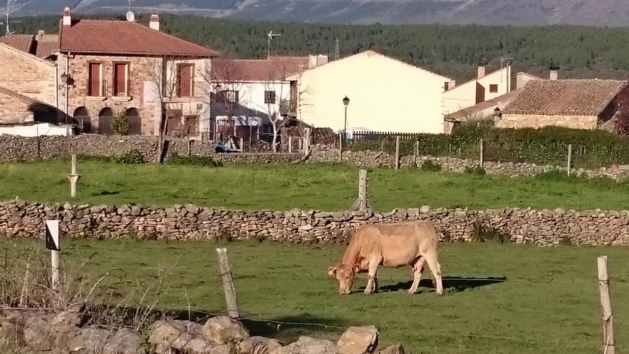 Posada La Fragua Gandullas Bagian luar foto